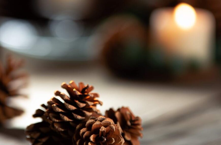 Symbolique pomme de pin : significations et idées déco porte-bonheur